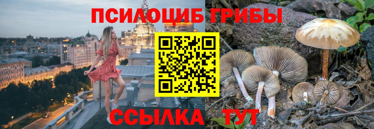 Галлюциногенные грибы ЛСД Орехово-Зуево