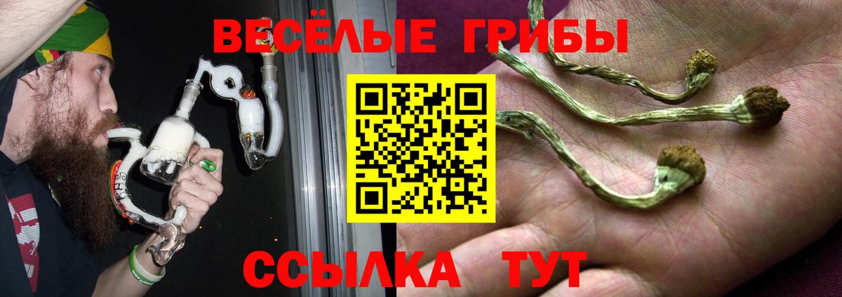 Псилоцибиновые грибы мицелий  Псилоцибиновые грибы MAGIC MUSHROOMS  Вход с VPN  Орехово-Зуево 